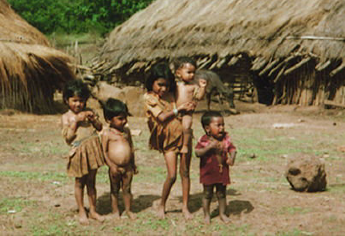 Die Eingeborenen des Gowli-Stammes in Dandeli (Indien) lebten in unbeschreiblichem Elend