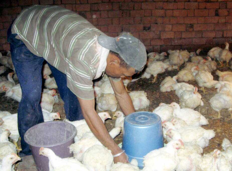 2010: The relief organization «Association MIMA VAO« in Antananarivo (Madagascar) runs a children's  home where we have supported 92 godchildren to date. We finance a chicken farm of 400 animals